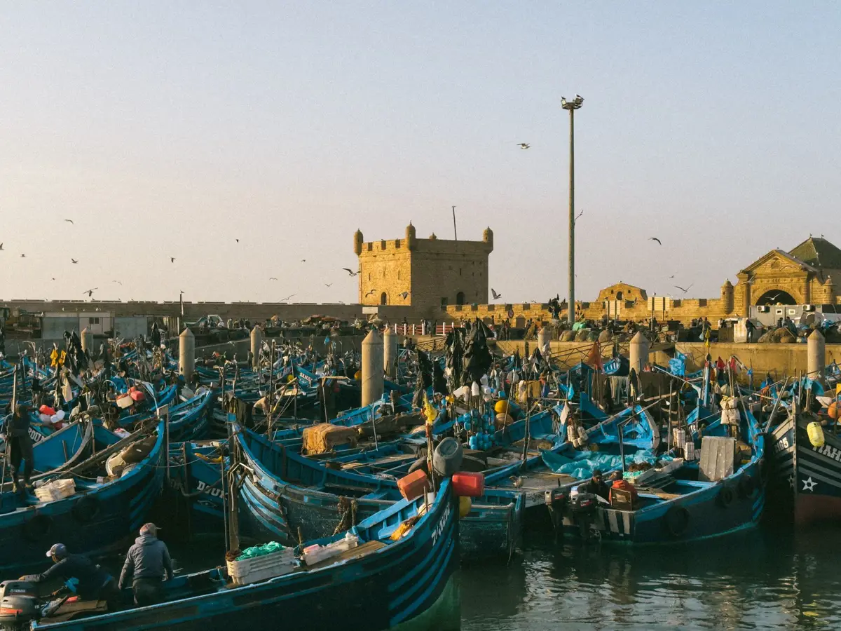 Essaouira limanı, Fas - mavi tekneler ve tarihi medina şehri