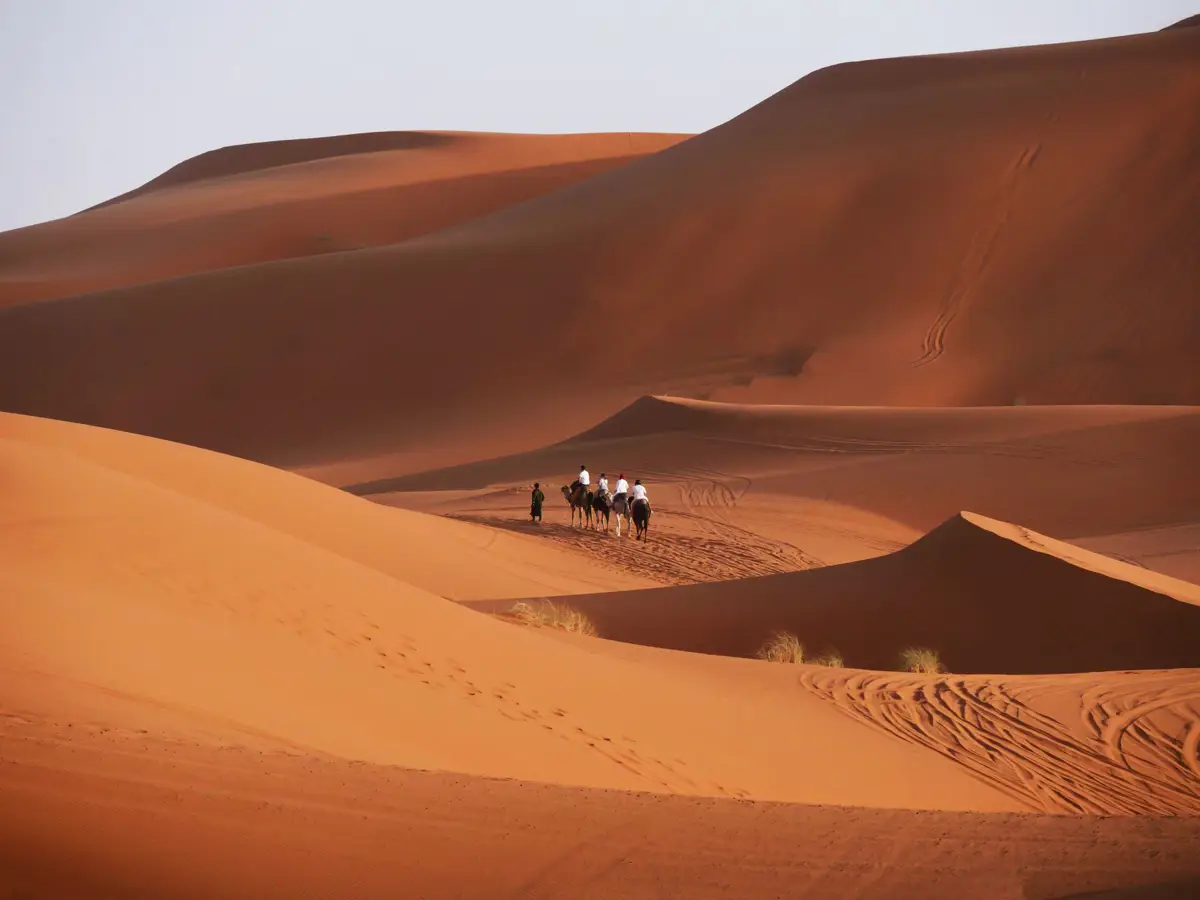 Sahara Çölü'nde deve kafilesi ile çöl turu, Fas Kuzey Afrika
